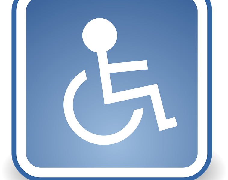 QE : Situation des personnes souffrant d’un handicap